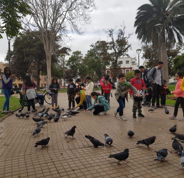 plaza de armas